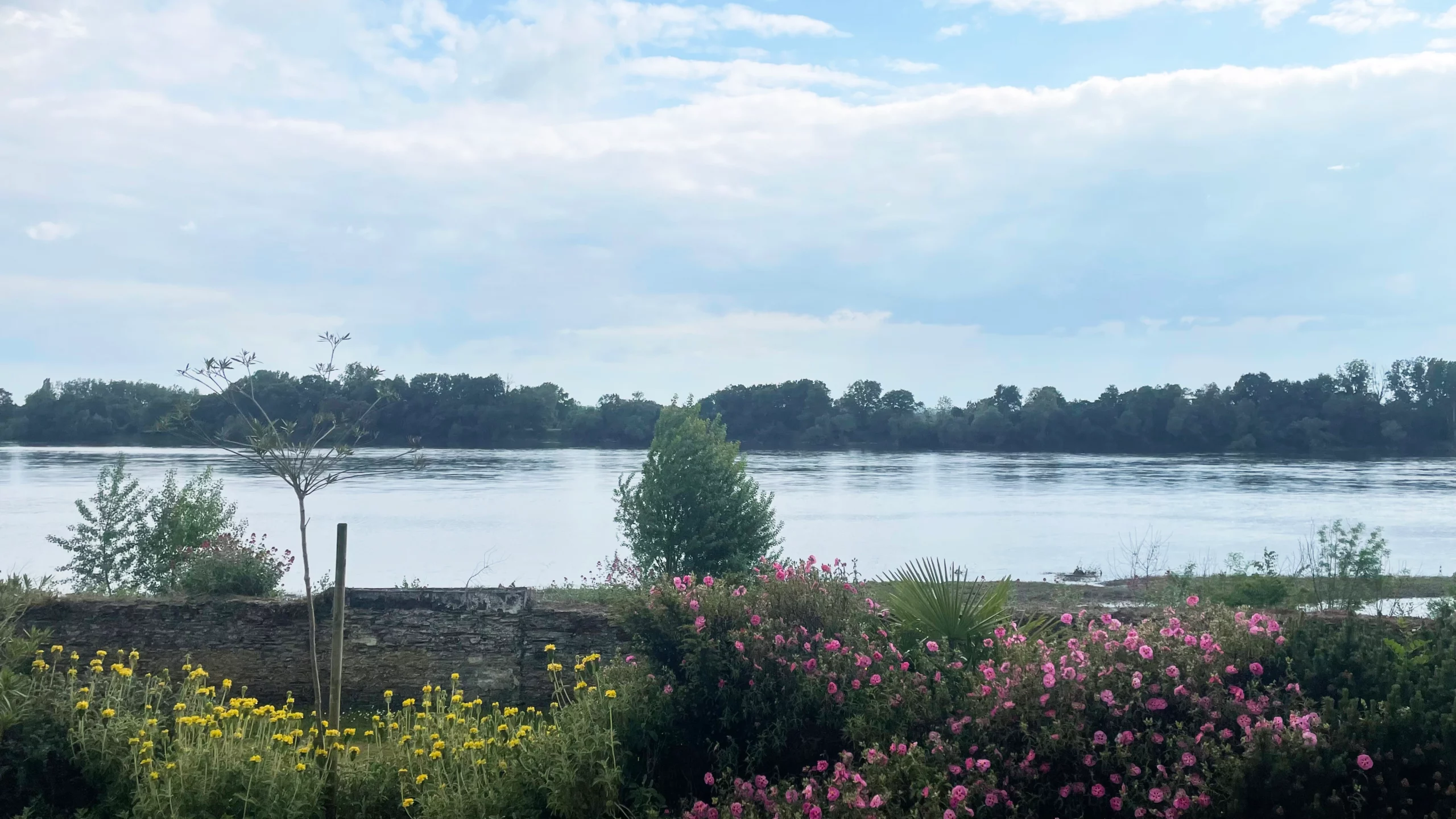 sainte gemmes sur loire