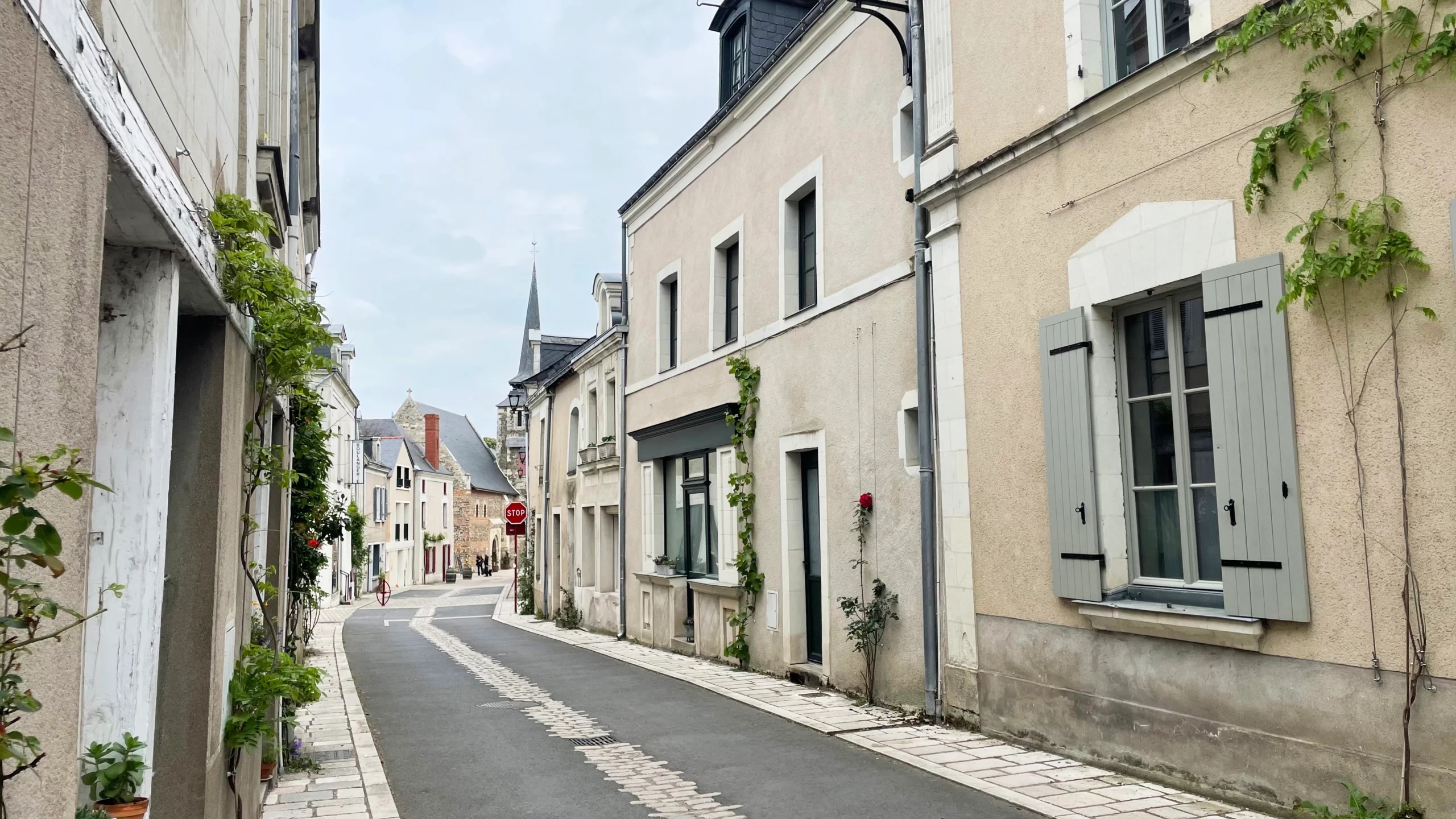 savennières