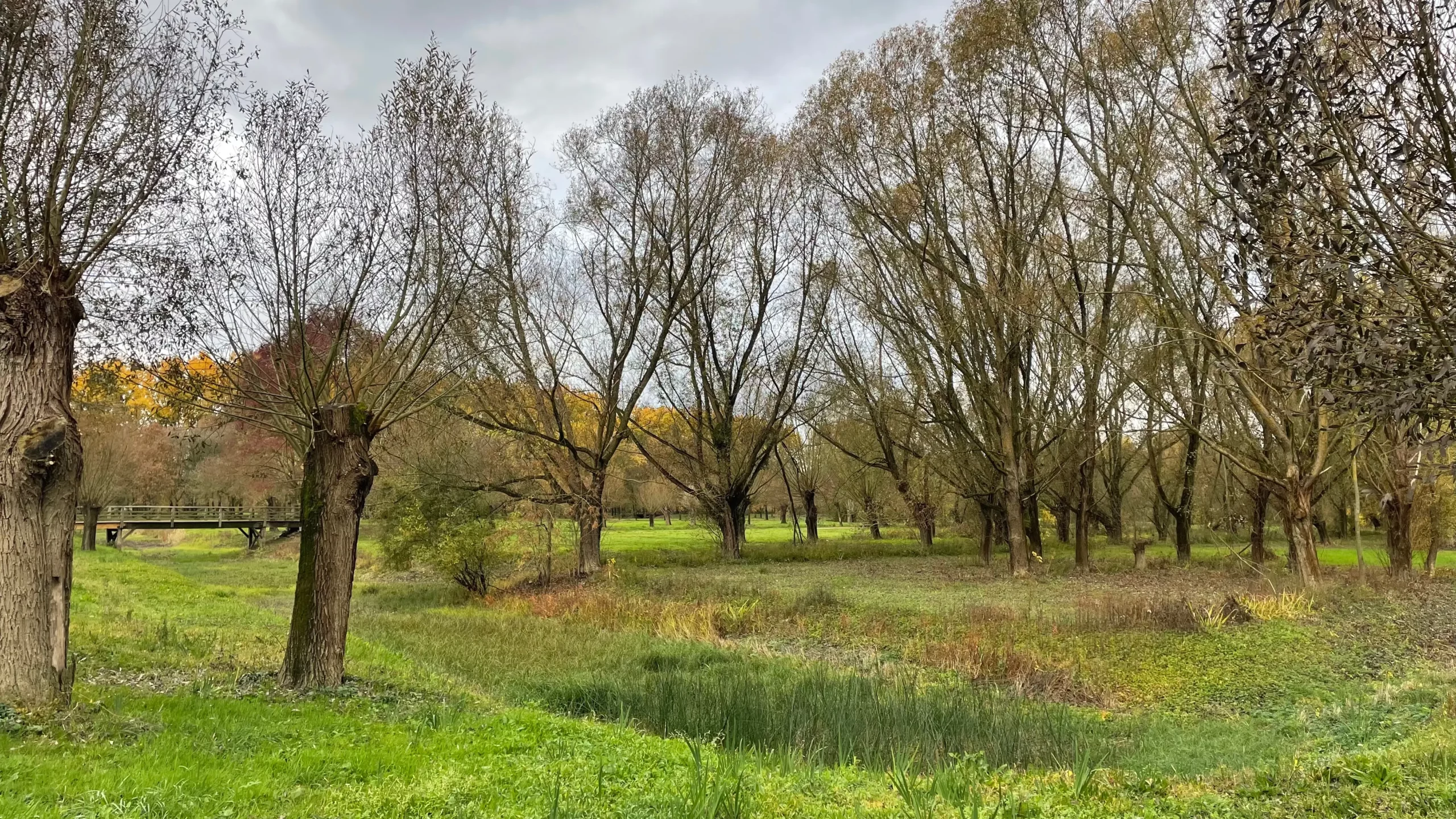 transition énergétique et environnementale